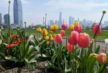 2024-05 Annual Mtg & Awards Dinner, Newark NJ, May 9, 2024